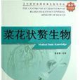 菜花状赘生物
