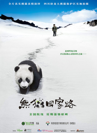 张琪(中国内地男演员)