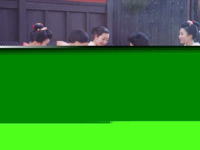 日本人(有日本国籍的人或有和族血统的人)