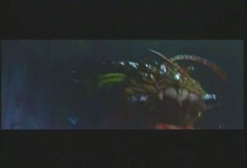 美加基拉斯 美加基拉斯