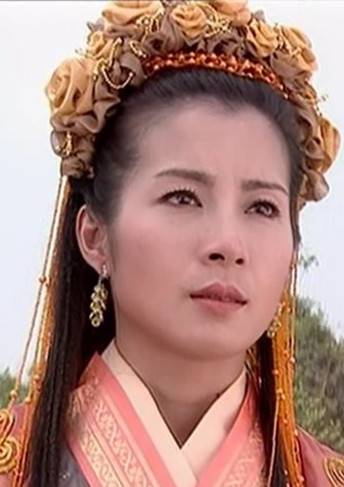 杨门女将之女儿当自强(杨门女将大破天门阵)