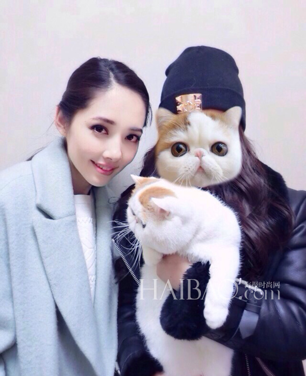 红小胖与主人与郭碧婷 红小胖与主人与郭碧婷