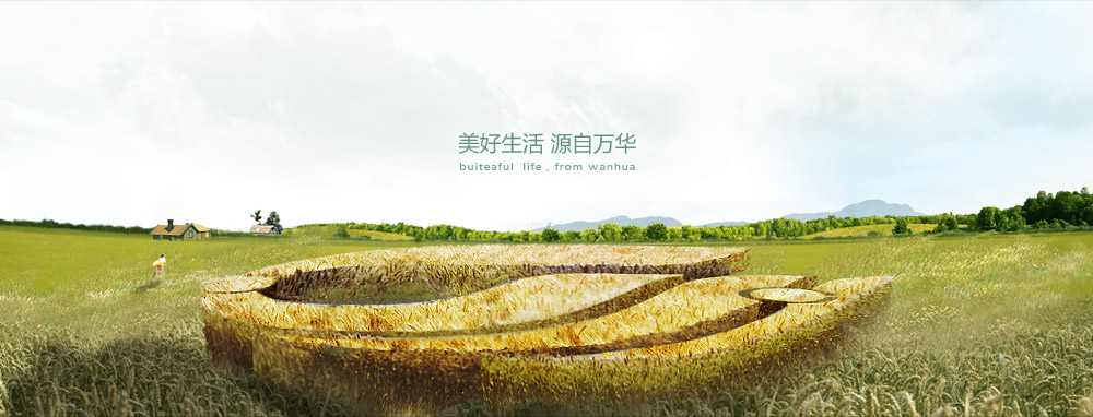 万华生态板业股份有限公司 万华生态板业股份有限公司