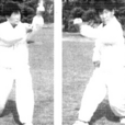横拳