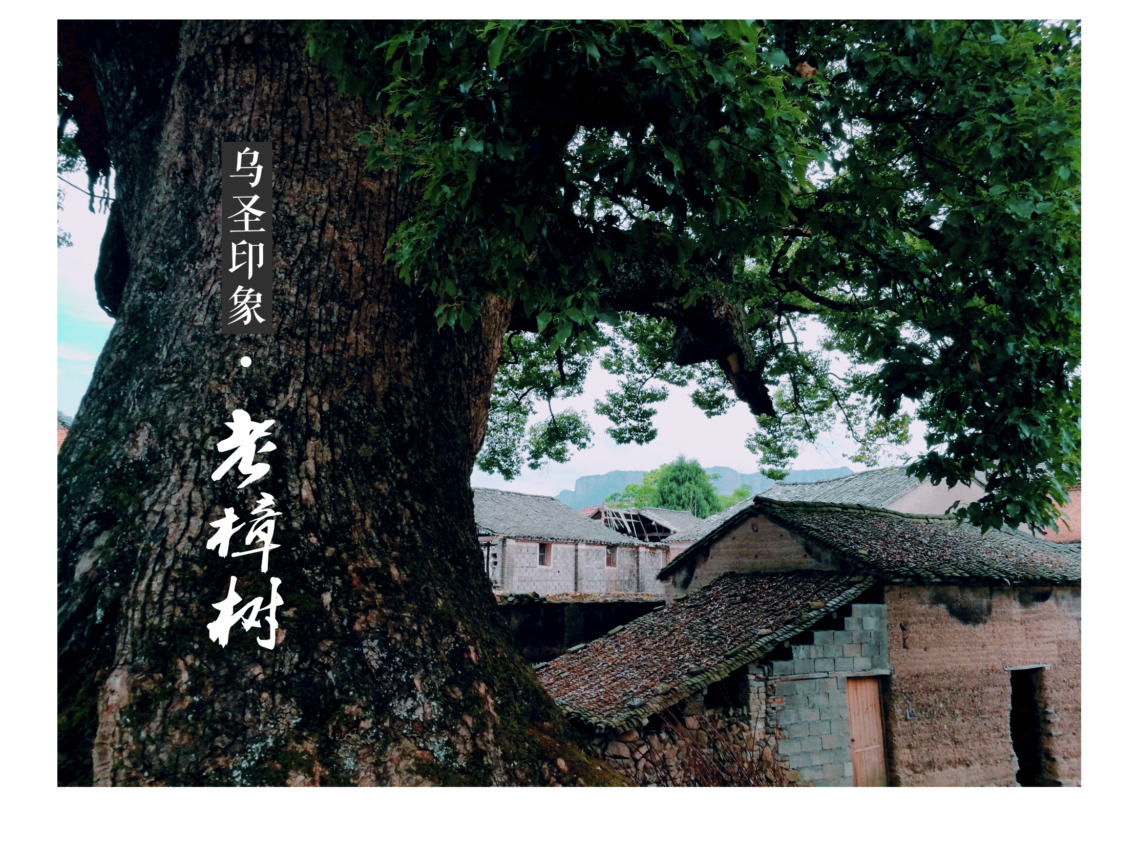 双庙乡(浙江省仙居县双庙乡) 双庙乡(浙江省仙居县双庙乡)
