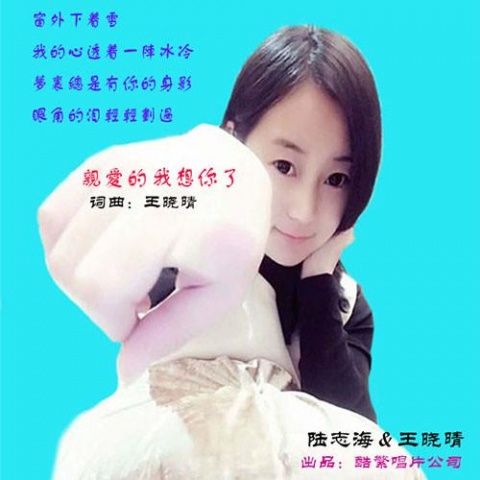 亲爱的我想你了(陆志海/王晓晴演唱歌曲)