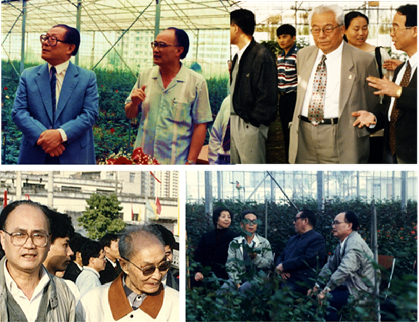 深圳市四季青园林花卉有限公司 深圳市四季青园林花卉有限公司