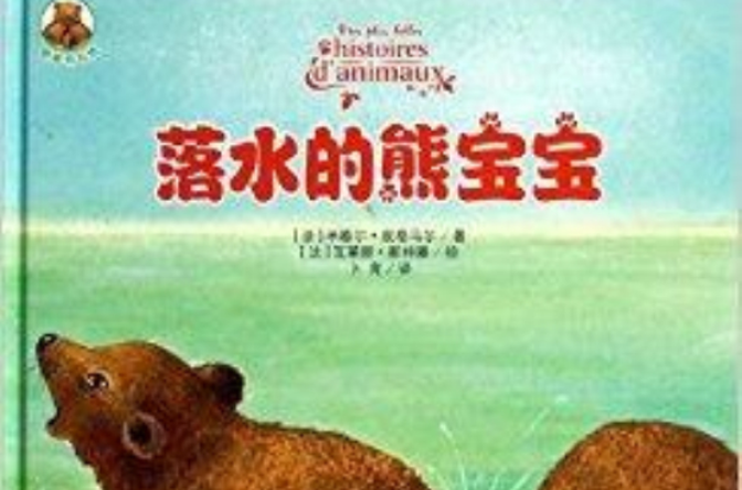 落水的熊宝宝