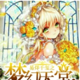 TFboys之梦幻天堂