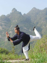 太乙五行拳 太乙五行拳