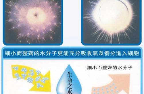 小分子团水
