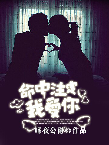 小说封面 小说封面