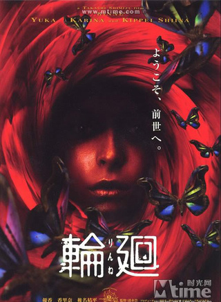藤贵子