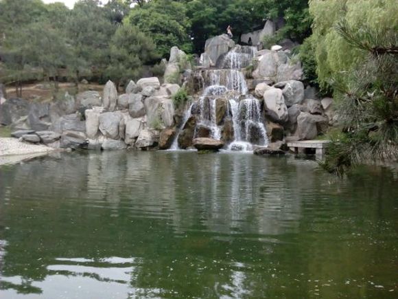 狐狸村 狐狸村