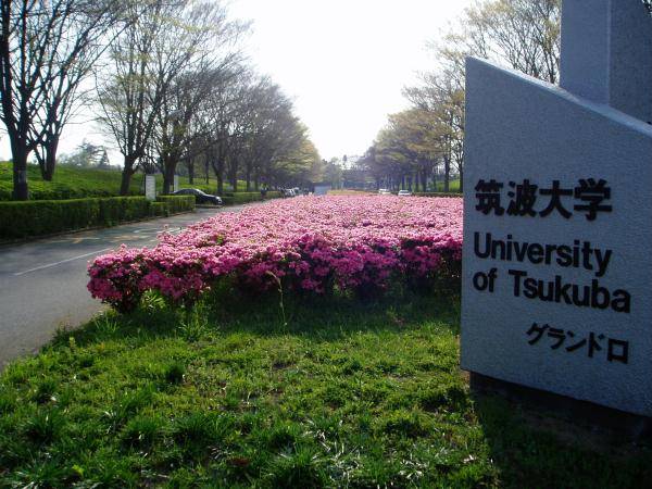 筑波大学 筑波大学