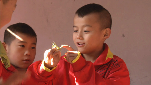金龙 金龙