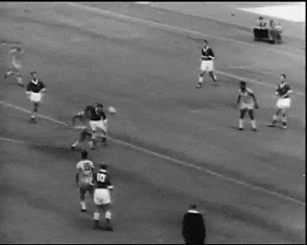 1958年瑞典世界盃 1958年瑞典世界盃