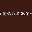 我爱你你忘不了她