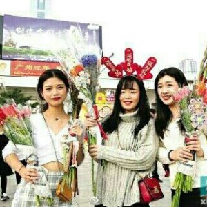 广州迎春花市 广州迎春花市