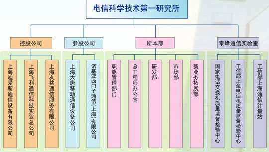 组织结构 组织结构