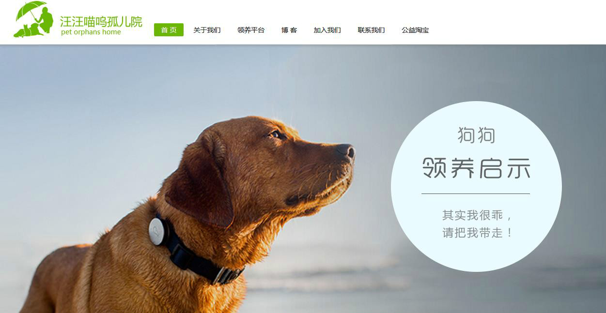 汪汪喵呜孤儿院 汪汪喵呜孤儿院
