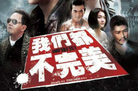 我们都不完美(2012年上映电影)