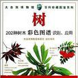 大自然博物馆·百科珍藏图鉴系列：树