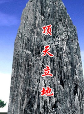 卢宛茵