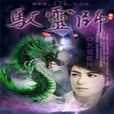 驭灵师(小说)