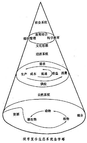 城市生态系统组成 城市生态系统组成