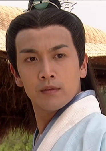 杨门女将之女儿当自强(杨门女将大破天门阵)
