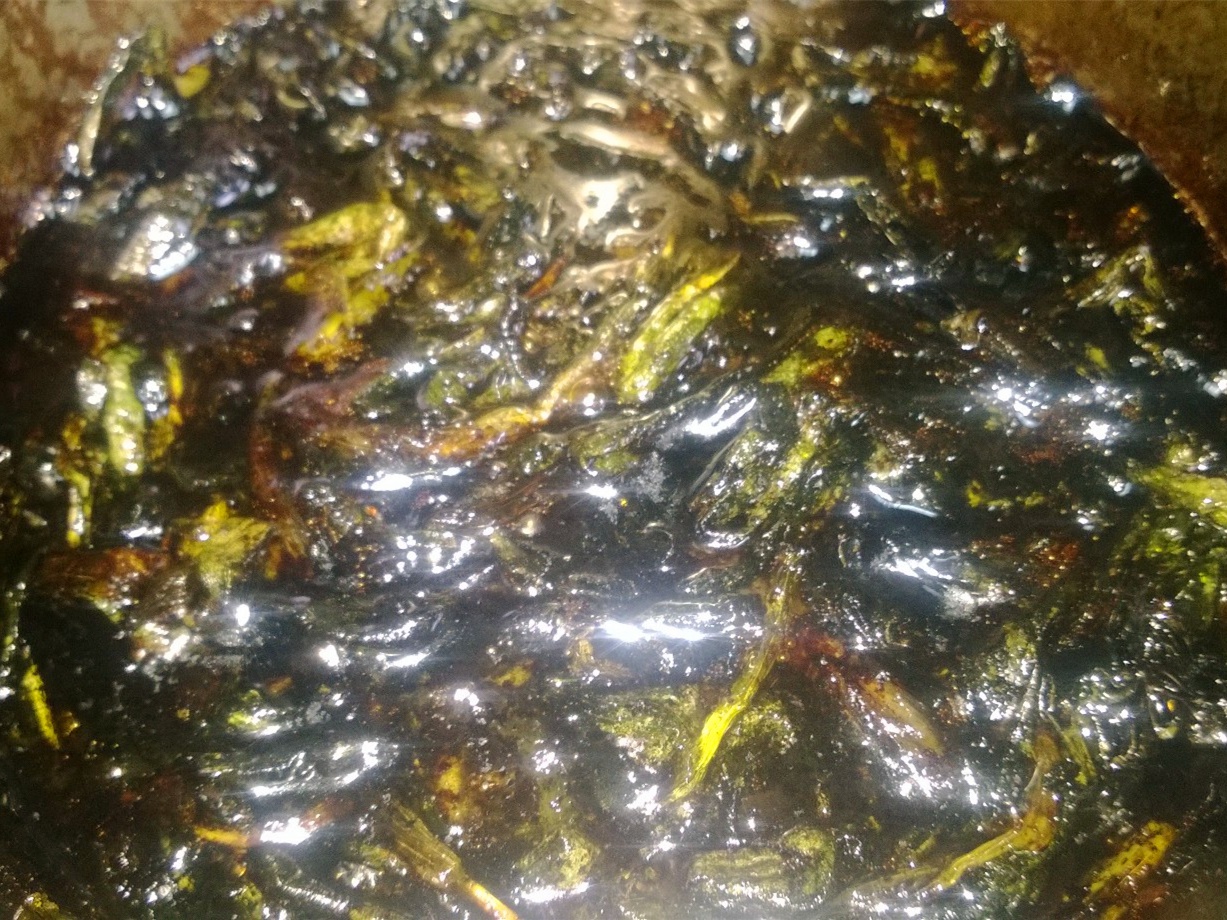 老上海开洋葱油拌麵