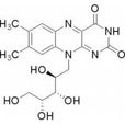 维生素b2(核黄素)