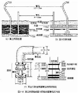 革兰氏阴性细菌 革兰氏阴性细菌