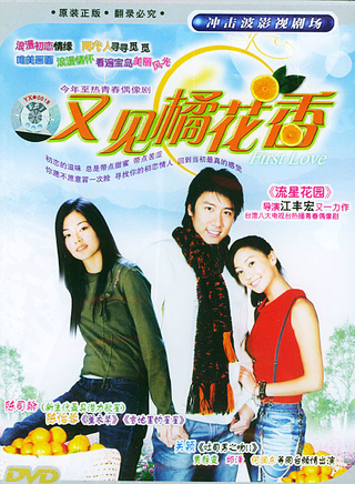 贾静雯