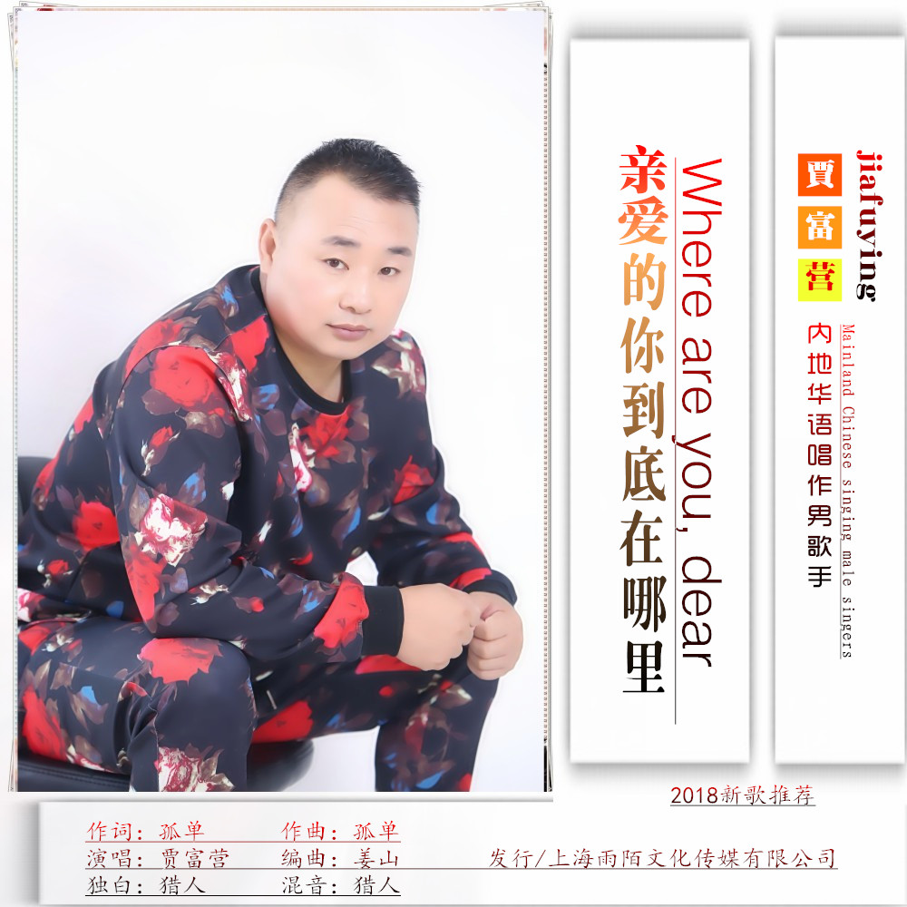 亲爱的你到底在哪里(封面) 亲爱的你到底在哪里(封面)