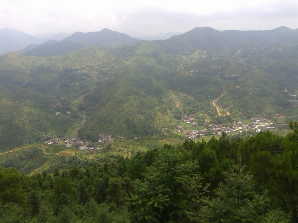 双龙村(江西省赣州市兴国县社富乡双龙村)