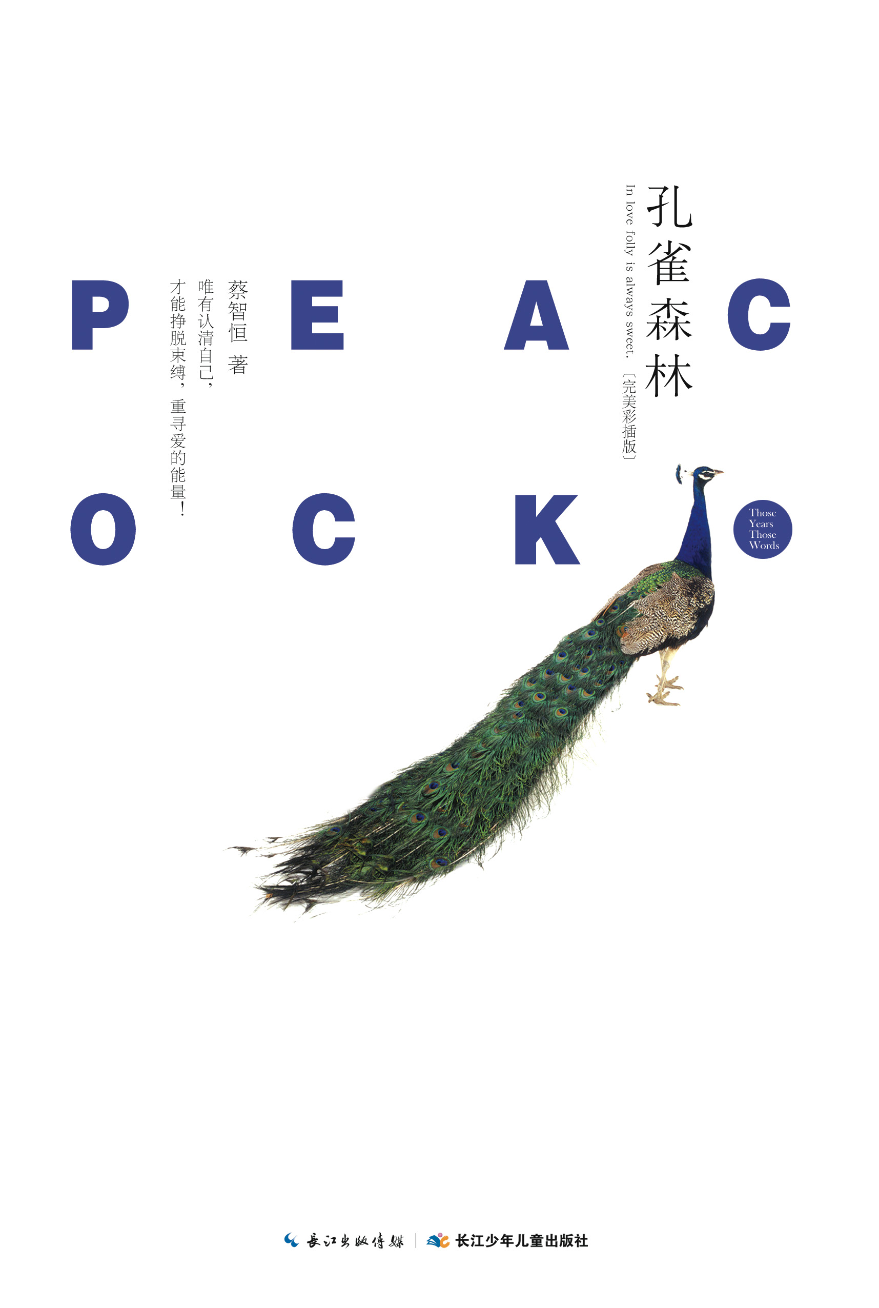 痞子蔡(蔡智恆一般指本词条) 痞子蔡(蔡智恆一般指本词条)