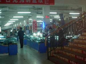 电子市场 电子市场