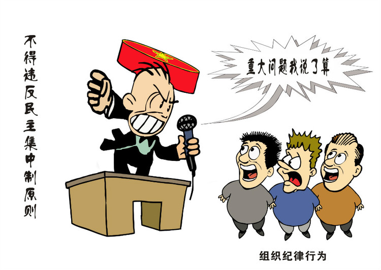 民主集中制原则