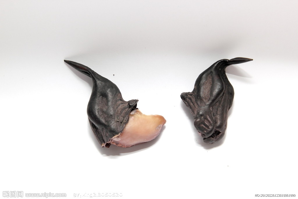 菱角 菱角