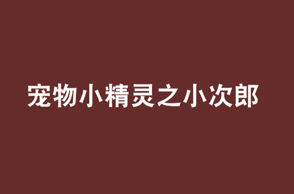 宠物小精灵之小次郎