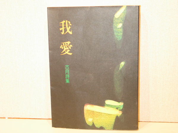 古月(湖南衡山县作家)