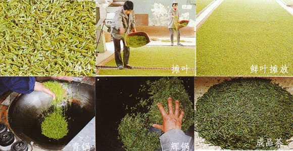 水仙茶 水仙茶