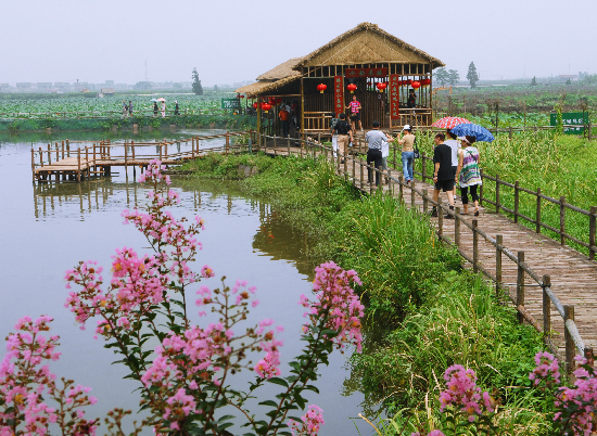 生态农业旅游