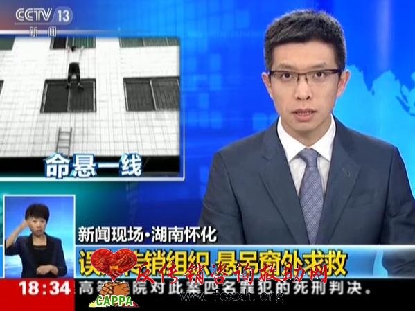 我在传销里的三十六小时 我在传销里的三十六小时