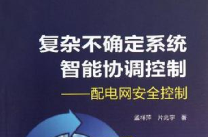 複杂不确定系统智慧型协调控制