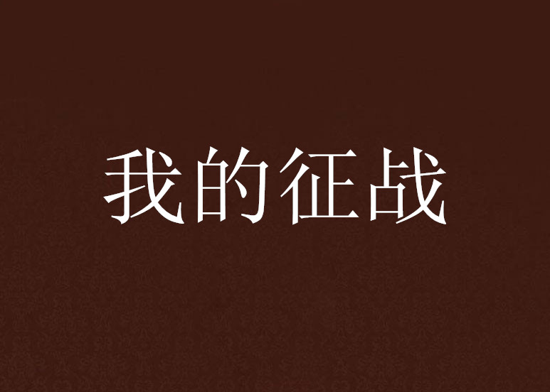 我的征战