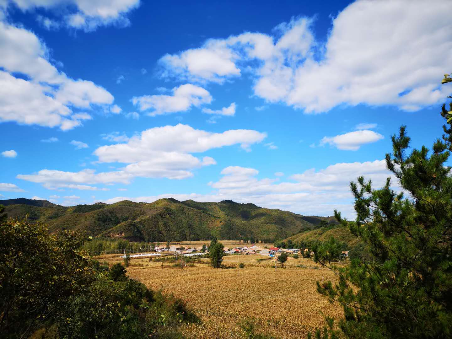 大山咀 大山咀