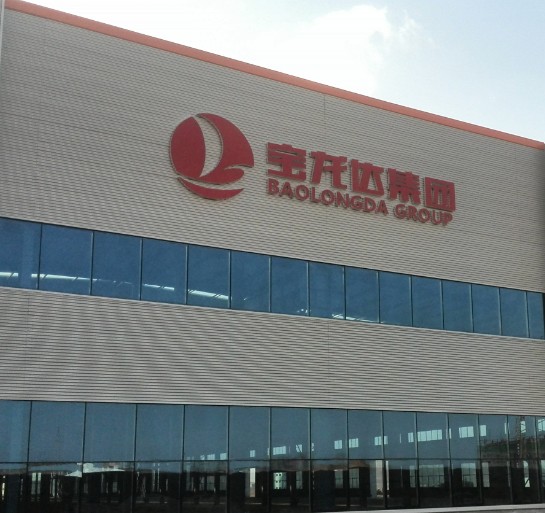 山东宝龙达实业集团有限公司